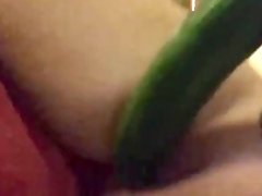 Fucking a big cucumber